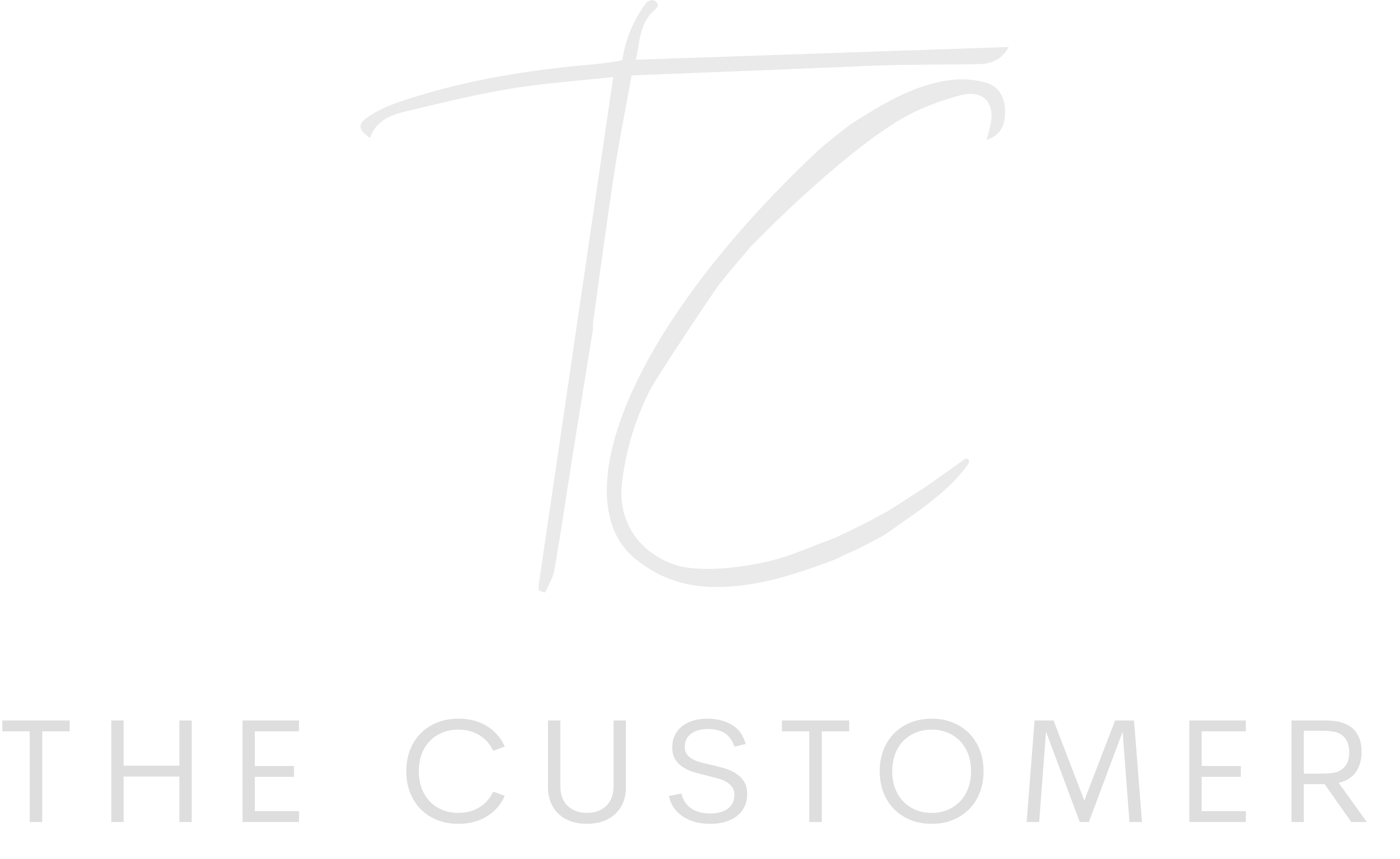 The Customer